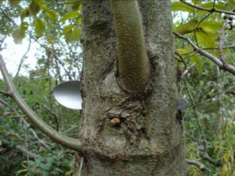 по моему это лишнее в подборке