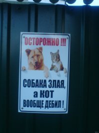 Как кошка с собакой