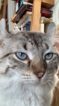 так вот кто идею подкинул: