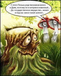 Жителей России начали штрафовать за неправильный сбор валежника