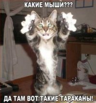 Картинки с надписями для настроения