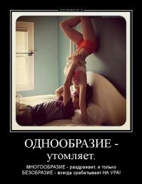 Прикольные и смешные картинки