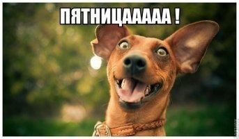Картинки с надписями