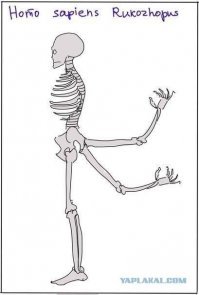 32 эпичных ляпа горе-дизайнеров, за которые им пора оторвать руки