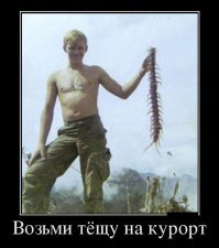 Многоножки