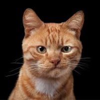 Как говорил Юрий Никулин, на его месте должен быть Я.