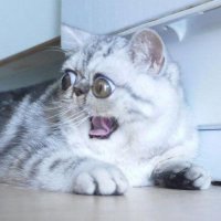 Ахтунг!!!