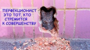 Пост для перфекционистов