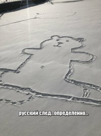 Канадцы разгадывают тайну пупка монреальского "снежного медведя"