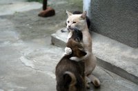 Прикольные и смешные картинки