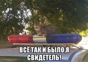 Не самые сообразительные ребята