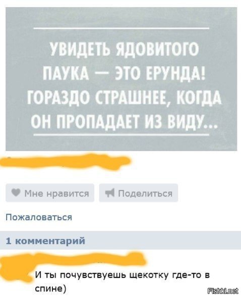 Пестрый мир пауков