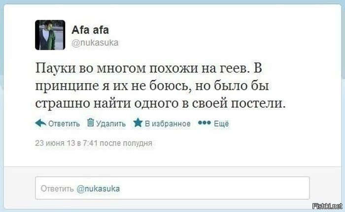 Пестрый мир пауков