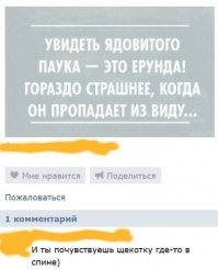 Пестрый мир пауков