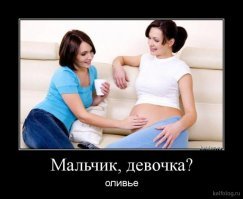 Диалоги о весе