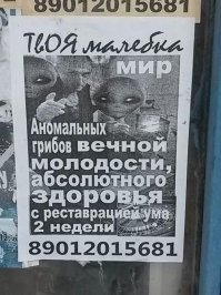 Неожиданные надписи, которые можно увидеть только в России