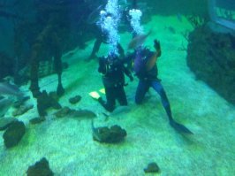 Да ладно, море это круто если головой пользоваться.