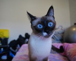 достали уже противостояниями своими---вообще уже всё пофиг, давайте убъём ВСЕХ...и всё будет хорошо