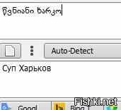 ну и такой перевод с грузинского выдал яндекс
