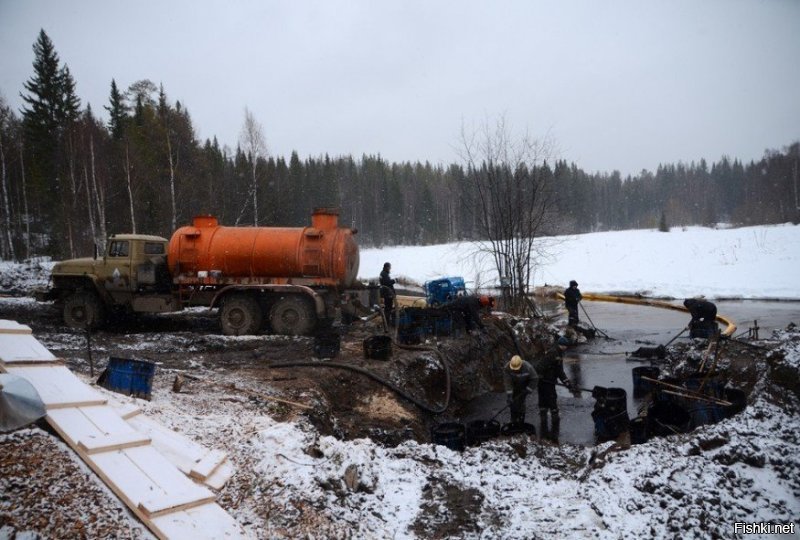 интересно вот, если бы респ. Коми стала независимой в то время, у нас нефть прет местами из под земли, даже бурить не надо