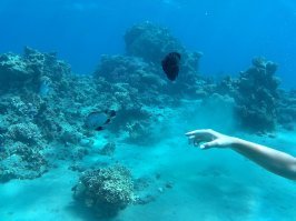 20 фото, которые обнаружат у вас талассофобию