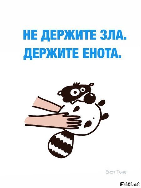 Енот и интересные факты о нём