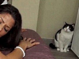 Прикольные и смешные картинки