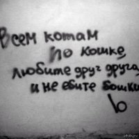 Неожиданные надписи, которые можно увидеть только в России