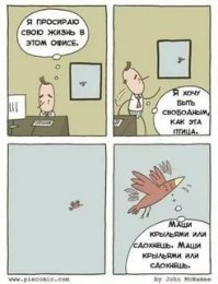 Прикольные и смешные картинки