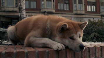 Отец 10 лет ждет у дороги бросившую его дочь