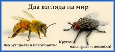 Минутка доброты на Фишках
