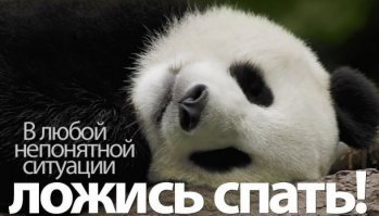 Прикольные и смешные картинки