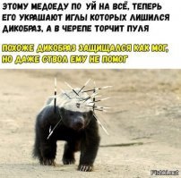 да да , бессмертные животные