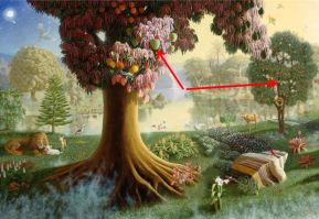 Адам (5508-4578 до н.э.)
Фото Эдема: