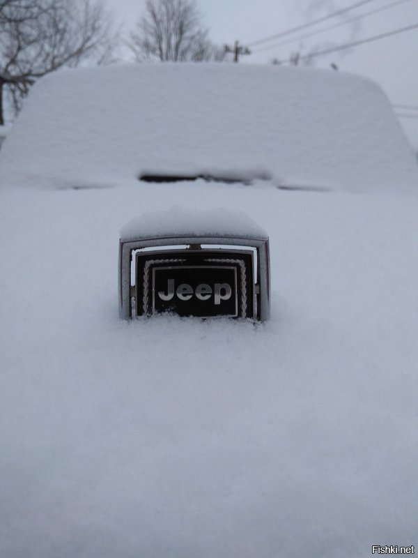 Вот она, слава )))

самое первое фото с маскотом в снегу "Jeep"  моего Вагонира )))

Откуда тиснул? просто интересно )