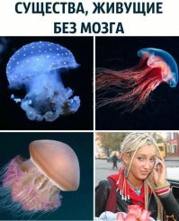 На данное место кандидатов много.