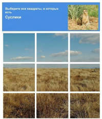 Прикольные и смешные картинки