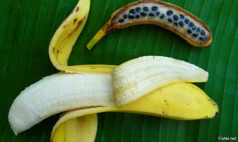 В семенных бананах до сих пор косточки