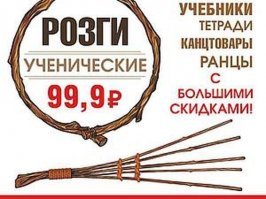 Депутат Госдумы призвал наказывать жестоких учителей рублем 