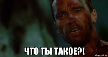 Фотоподборка за 04.02.2019