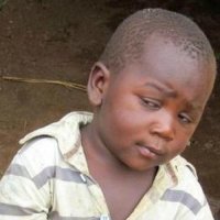 Приказу об оборудовании  мет. сетками окон (помимо решеток и сигнализации) в секретных комнатах уже лет 80, а может и больше.... Защита и от сквозняков... Да и приказ этот не в округе рожден, а от министра обороны исходит....