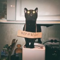 Может часть этих правил и работает, когда в доме ОДИН, наверное, породистый (потому что они обучаемы хоть как-то) кот. Но когда их больше двух - забудьте ВСЕ эти правила: либо они воспринимают тебя, как вожака стаи и хоть как-то слушаются, либо нет. 

Скажу больше, если в доме есть взрослый кот и вы принесёте второго маленького - вы скоро перестанете радоваться, что они очень подружились. Потому что эта взрослая шерстяная жопа научит мелкого ВСЕМУ, что умеет и знает - хорошее здесь идёт не первой строкой. 

Очень порадовало описание, что кошке можно как-то запретить запрыгивать на кровать и на мебель - вы это серьёзно? Это кошка, не собака. Это невозможно сделать гуманными способами или предлагаете избивать и сделать животину зашуганной? Максимум чего можно добиться (и снова повторюсь - если в доме 1 кот), так это того, чтобы хвост не лазил по столам.

Если вы не привязаны к этим животным душой, очень хорошо подумайте, стоит ли вам заводить его. Оно не дрессируется, оно не слушается (когда вам надо), оно приходит к вам только, когда захочет. 

У нас несколько котов уже много лет - я называю это стадо детский сад "Ромашка", потому что у каждого свой нрав, свои причуды и своё выражение характера. Одна, например, очень общительная - ну вот просто говоришь ей что-то, а она в ответ "Мяу, мяу!", хлебом не корми, дай на плечах у тебя полежать. Второй - просто ураган: всё, что где-то лежит/стоит (книга на столе, ночник на тумбочке, телефон на стойке, свечка у камина) должно непременно быть сброшено на пол. Наше утро начинается с возвращения книг на полки, восстановления облика гостинной - пульт, мыши компьютерные - всё найдено и сброшено на пол. Третья любит, чтобы её гладили, но на руки не идёт - вот просто подходит и орёт - гладь меня срочно!!!! Супруг просто вытягивает руку на высоту 30 см и она сама прыгает, чтобы спина касалась. Длиться это может минут 20. И так далее по списку. 

Да, у нас нет дисциплины - они все ходят за нами хвостами и хоть площадь жилья приличная, всё равно будут находиться там, где мы. Да, наверное, мы могли бы их воспитать, чтобы они от одного нашего окрика укладывались все по лавкам и не шевелились. Но это уже будут не кошки. 
По крайней мере, не те кошки, которые любят нас, а мы любим их :)