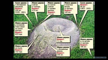 Во-первых, не ПОтомский, а ПАтомский кратер.
А во-вторых, насчет "полного отсутствия растительности" - как видно на снимке, деревья растут и на склоне и даже в центре кратера: