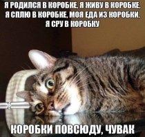 Свежая подборка демотиваторов, которые поднимут вам настроение
