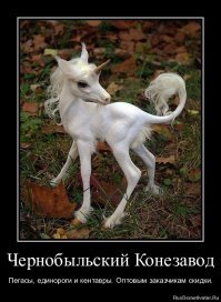 Камеры-ловушки в Чернобыльской зоне показали нечто невероятное