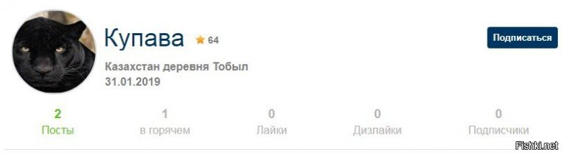 Мадам, может хватит клонироваться?