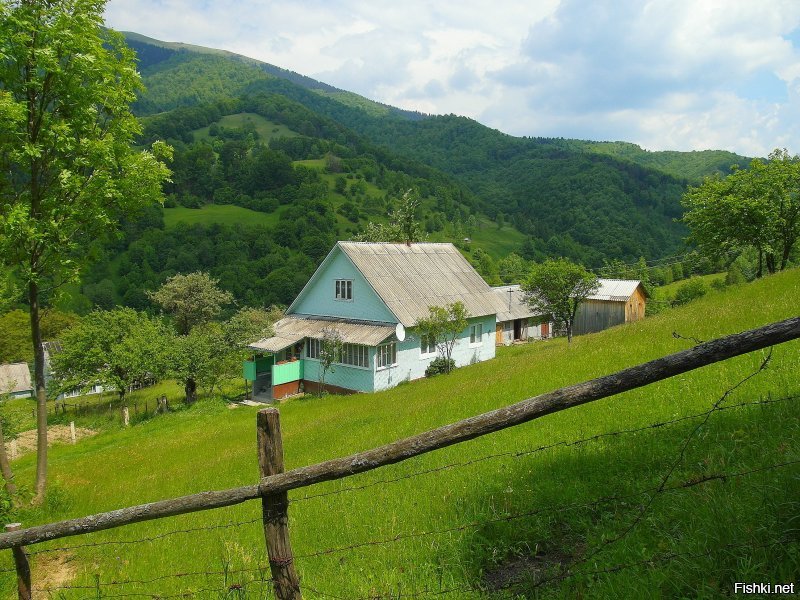 Я одна прошла 150 км в Карпатах за 6 дней в 2015-м.