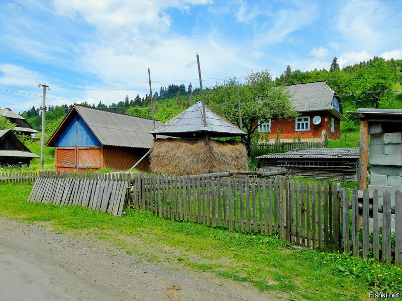 Я одна прошла 150 км в Карпатах за 6 дней в 2015-м.