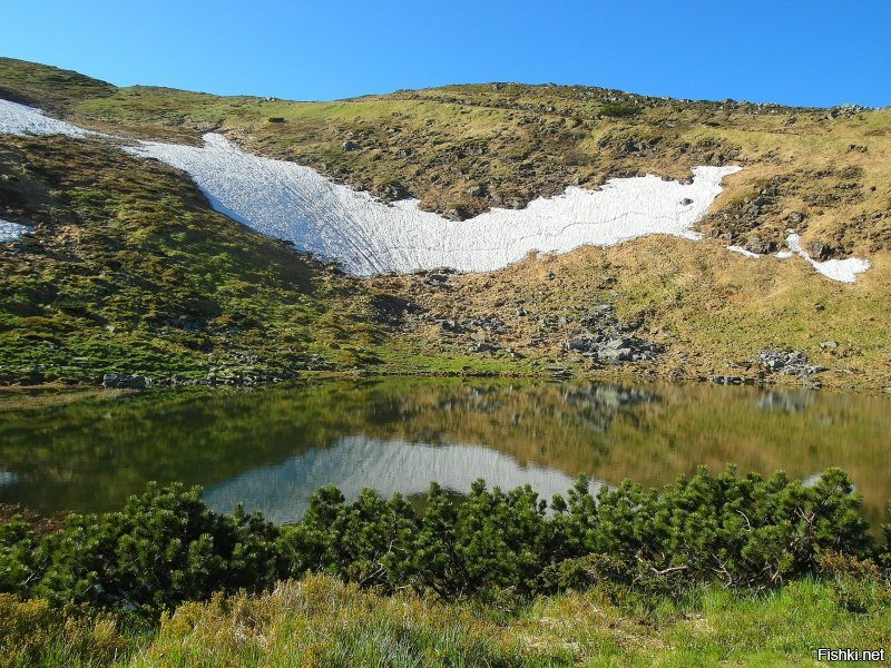 Я одна прошла 150 км в Карпатах за 6 дней в 2015-м.