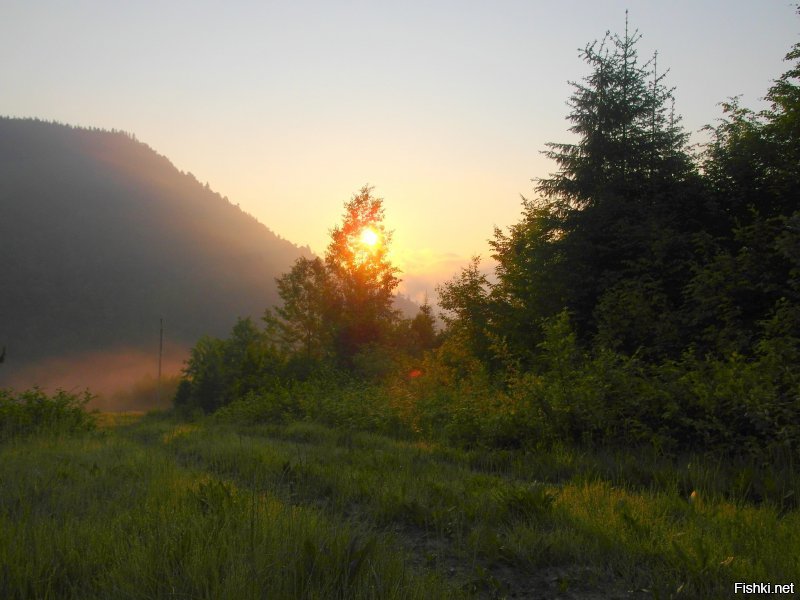 Я одна прошла 150 км в Карпатах за 6 дней в 2015-м.